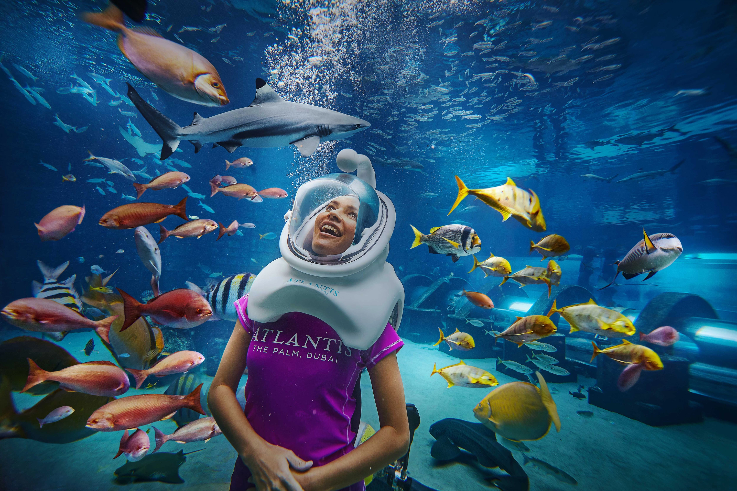 Guest participating in Shark Safari at Atlantis The Palm's Aquaventure