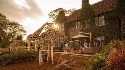Giraffe Manor historic hotel exterior with Rothschild giraffes on the front lawn