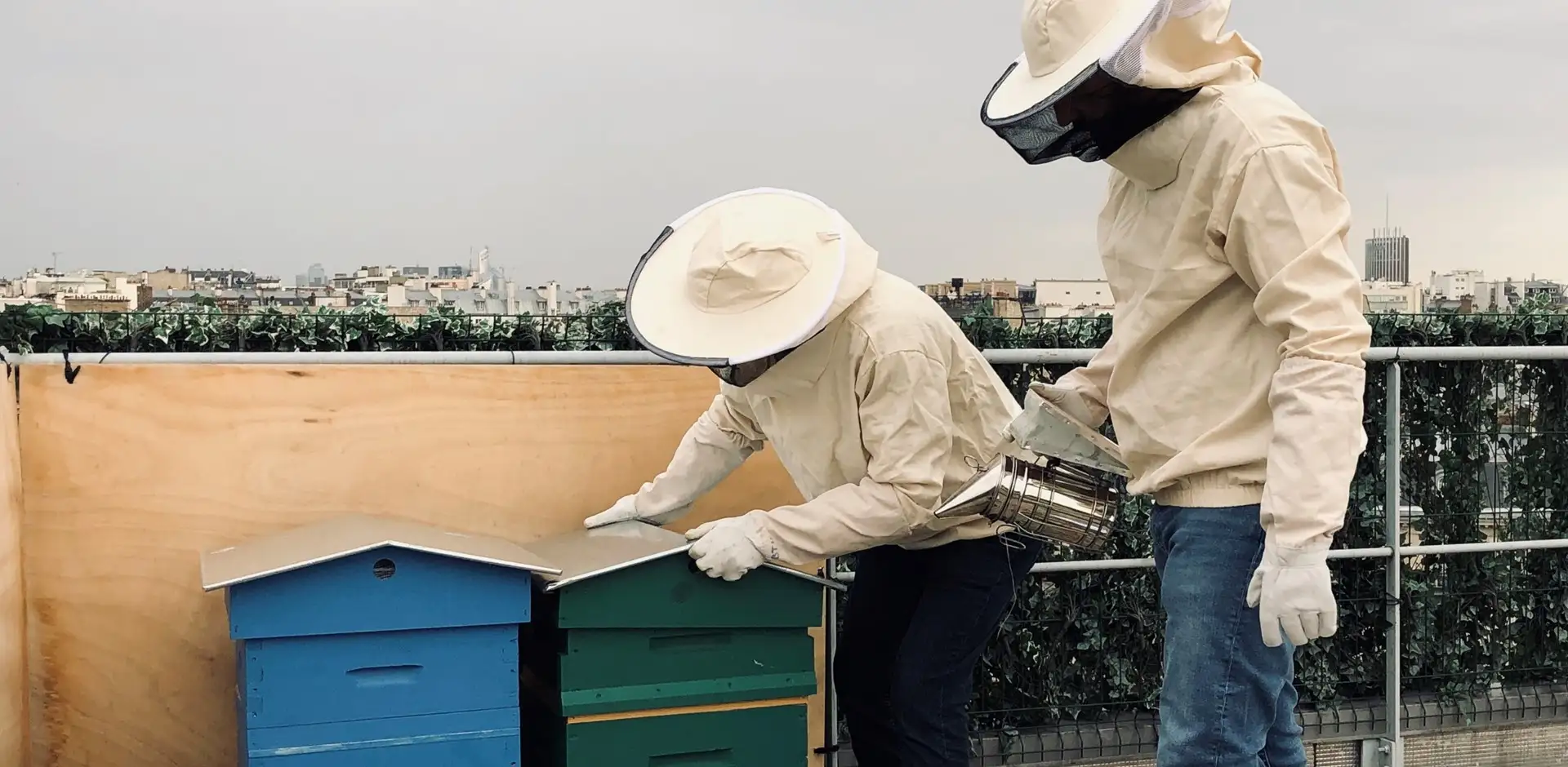Active beehives on the rooftop of Shangri-La Paris, part of the hotel's initiative to promote urban pollination and biodiversity.