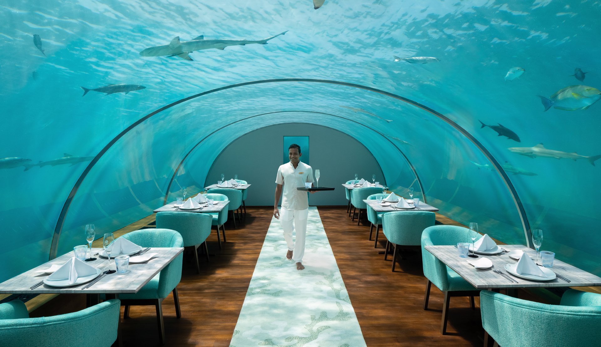Marine life view through the glass of Ithaa Undersea Restaurant at Conrad Maldives.