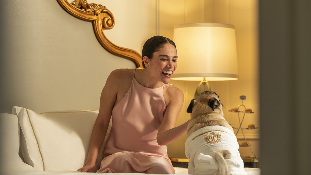 A guest with their dog at The Plaza Hotel, showcasing its pet-friendly policy and amenities.