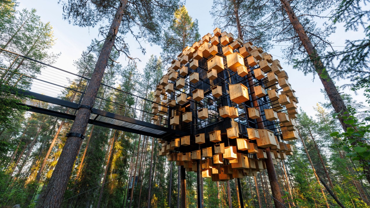 The Biosphere treeroom at Treehotel Sweden, designed by BIG, featuring a facade covered with bird houses amidst the pine forest.