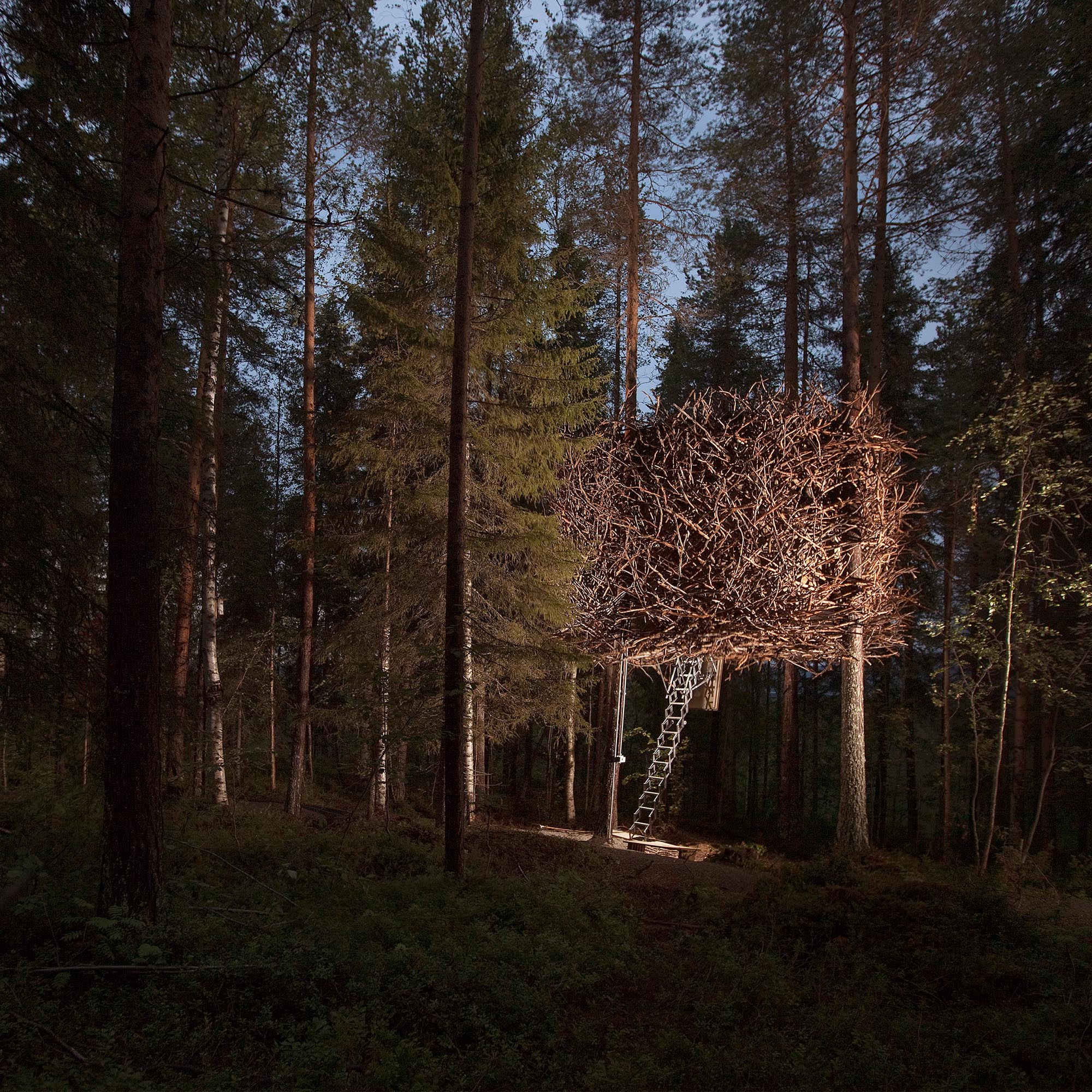 The exterior of The Bird's Nest treeroom at Treehotel, camouflaged as a giant nest in the trees.