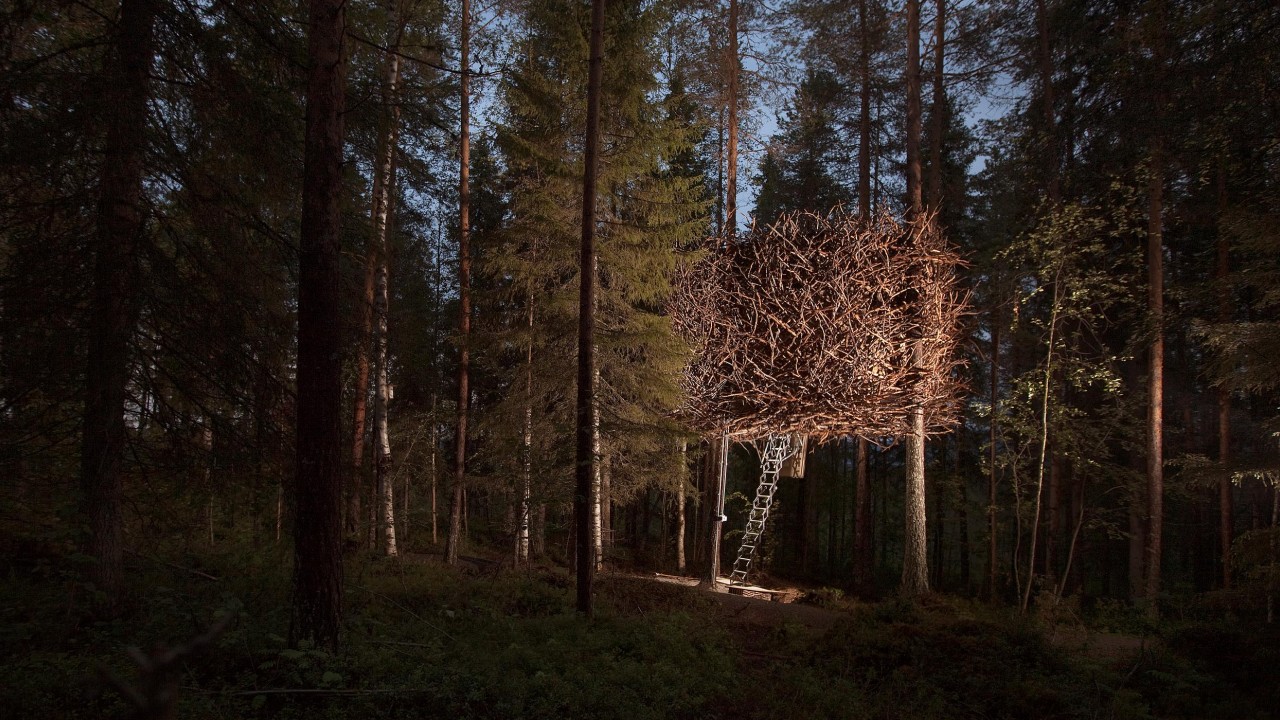 The Bird's Nest treehouse exterior at Treehotel Sweden, camouflaged as a giant nest in the tall pine forest.