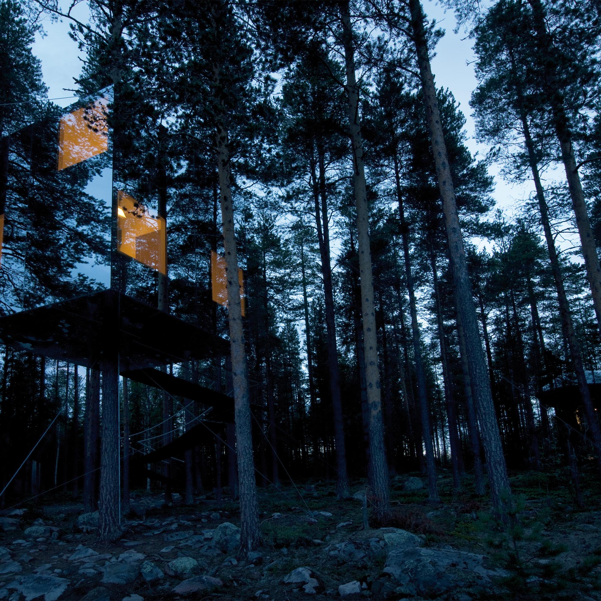 The Mirrorcube treehouse at Treehotel, with reflective walls mirroring the surrounding Swedish forest.